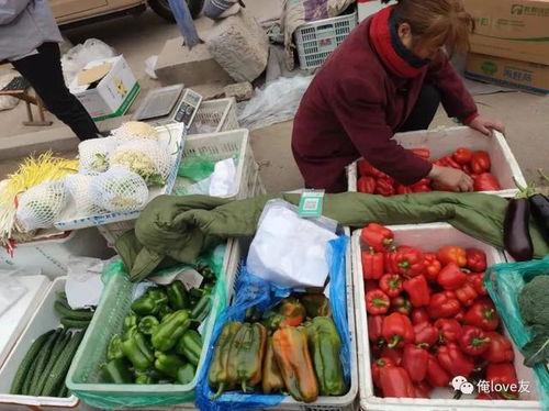 趕黃河大集，尋濟南年味——萊蕪魯西大集值得一逛